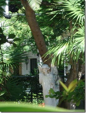DSC00614