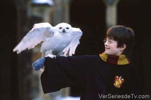 Harry Potter y la piedra filosofal
