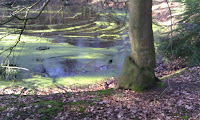 IMAG0046.jpg Photo