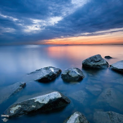 http://lh3.ggpht.com/_hHJcbXqIyiM/S3cNNc3mMxI/AAAAAAAAAQk/6jO3r_Vq0Nw/s400/3533615.jpg