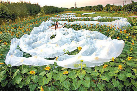 long wedding train nature picture Strange Wedding Gowns