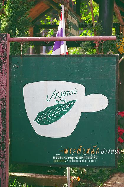 IMGP7248_s.jpg