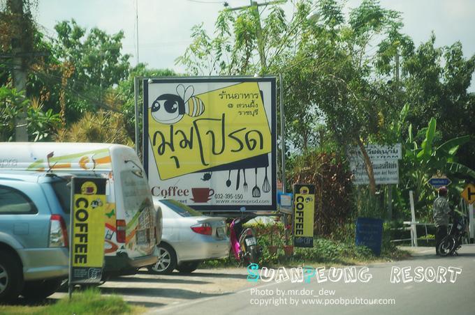 IMGP8272_s.jpg