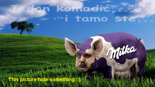 steganografija steganografija