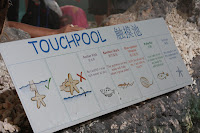 IMG_5469.JPG
