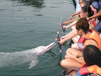 IMG_0992.JPG