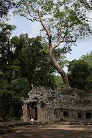 IMG_4359.JPG