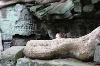IMG_4392.JPG