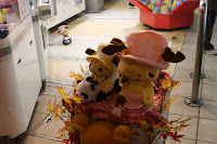 IMG_7378.JPG