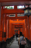 IMG_7252.JPG