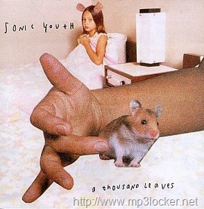 [SonicYouthAThousandLeavesalbumcover[2].jpg]