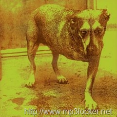[61Ef5QCZxfL._SL500_AA240_[2].jpg]