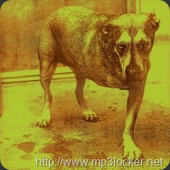 61Ef5QCZxfL._SL500_AA240_