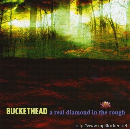 [A_Real_Diamond_in_the_Rough[2].jpg]