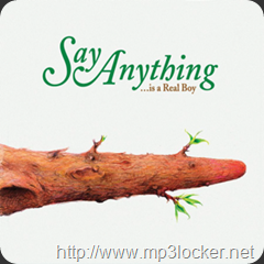 Say_Anything_Is_a_Real_Boy