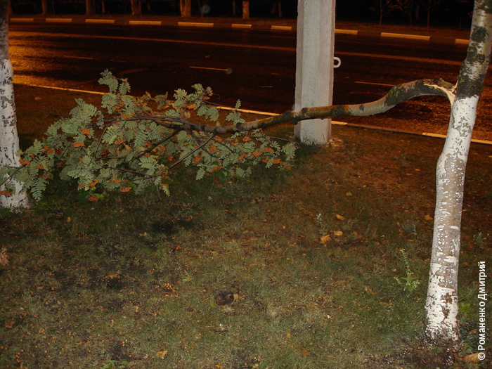 Ураган в Белгороде. 