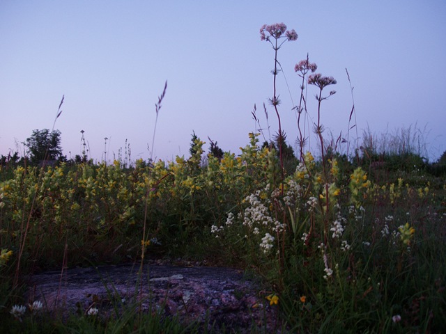[P6280075[11].jpg]