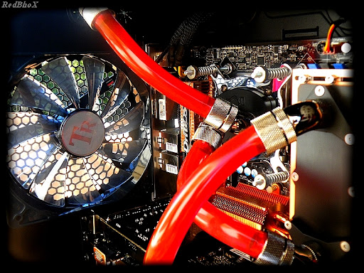 http://lh3.ggpht.com/_hObt9MK11bI/StdD7xcwNxI/AAAAAAAAAXw/2DJLA9lRz7E/DSCF0115.JPG
