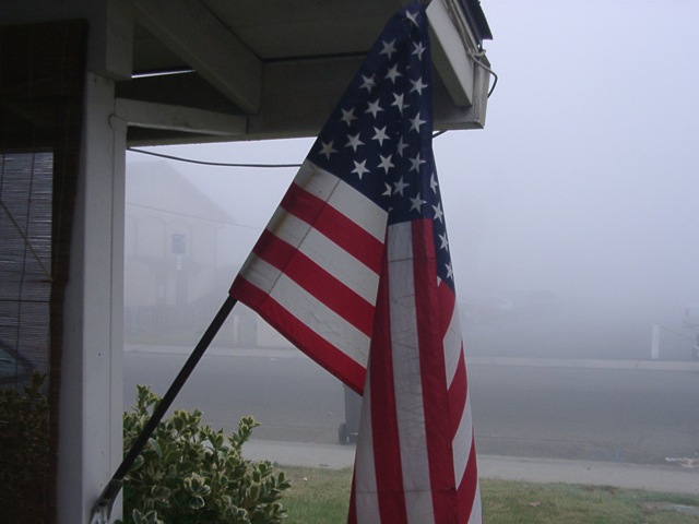 [fog 005[4].jpg]
