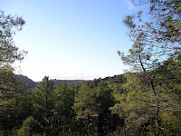 PB080113.JPG Photo