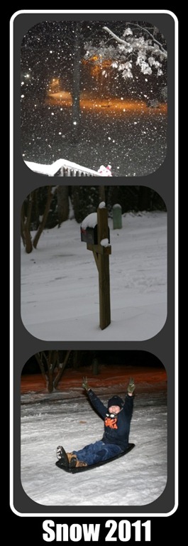 [Snow 2011[5].jpg]