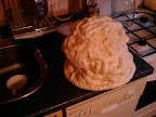 IMAG0149.jpg