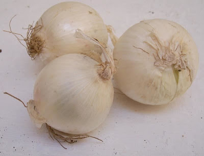 Garden onion Garden onion