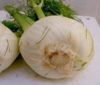 Fenchel Fenchel