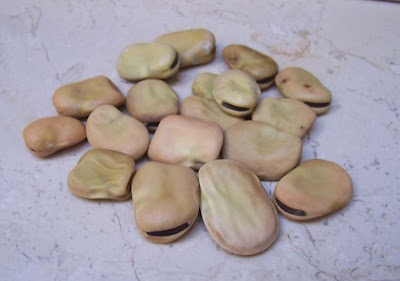 Bell-bean Bell-bean