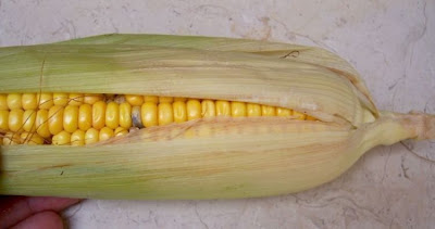 Frumentone