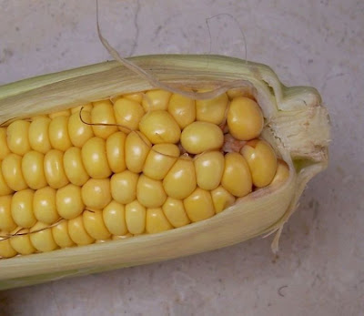 Frumentone