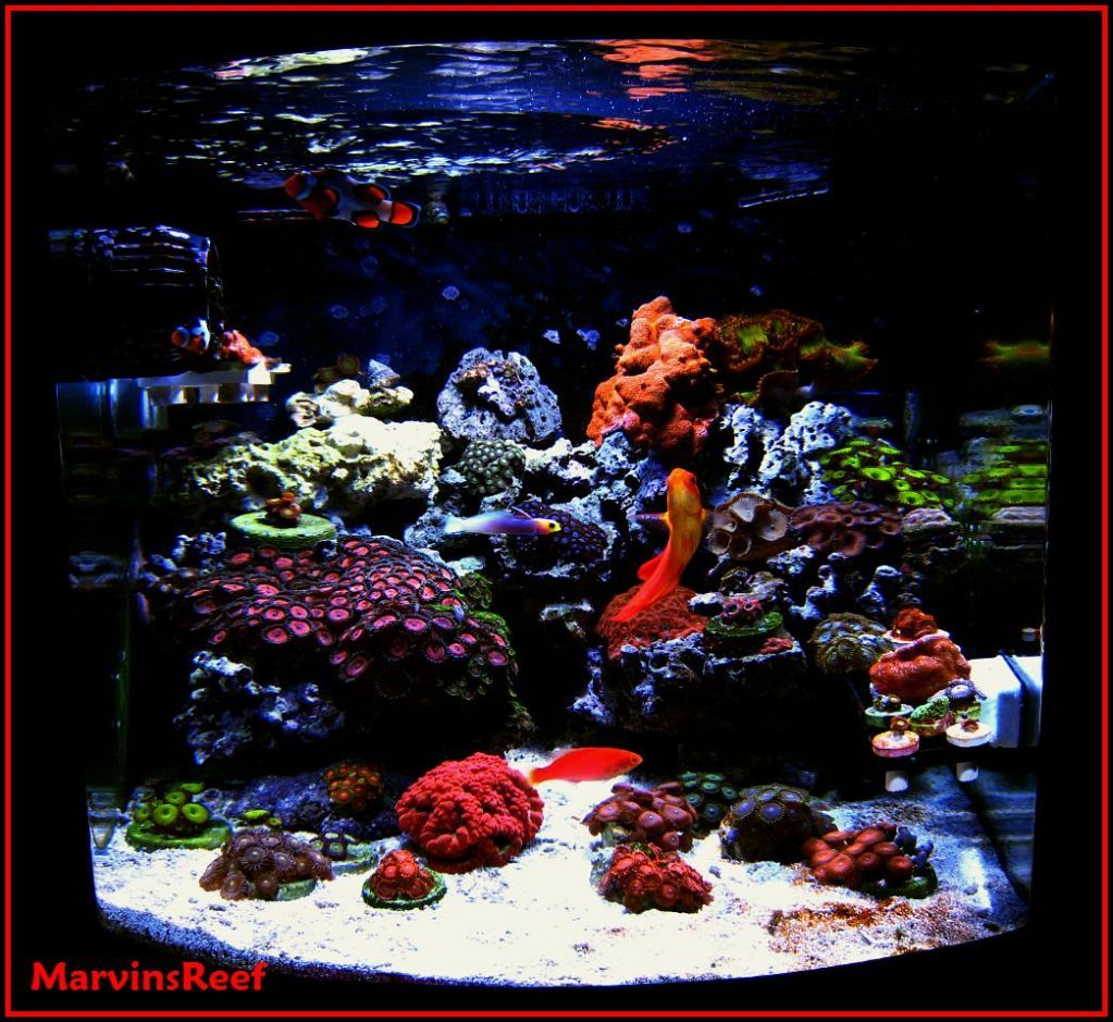 [05-14-09_FTS_05-10-09.jpg]