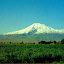 Ararat (95).JPG