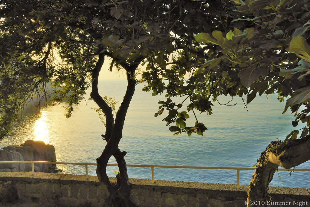 [DSC_0587 (2)[12].jpg]