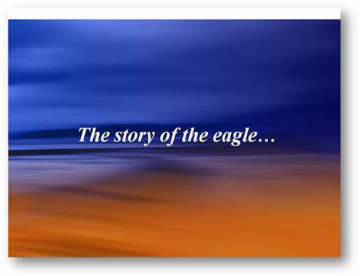 Re-Birth of An Eagle