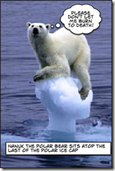 Polar Bear Burn to Death