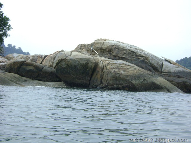 [DSC02929[3].jpg]