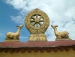 Dharma Wheel