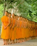 The Sangha Jewel