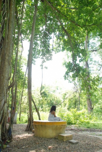 Meditation