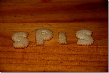Spis