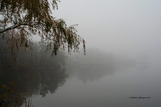 IMG_1783_1