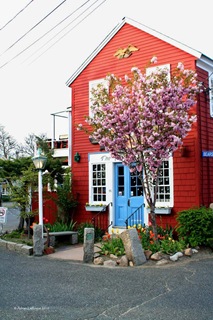 Spring_NewEngland Spring_NewEngland