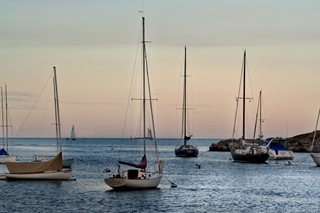 IMG_0046- IMG_0046-