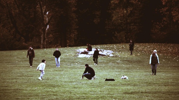 brown grass
