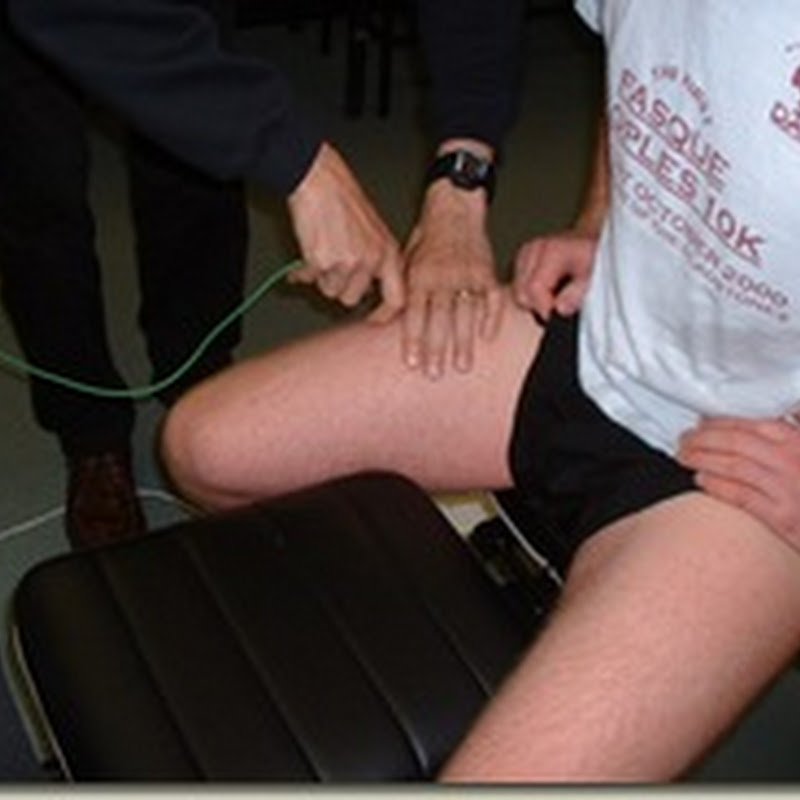 Sports Science degrees and Sports Science in elite sport: a case of dislocated expectations?