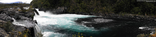 DSCF3110.jpg