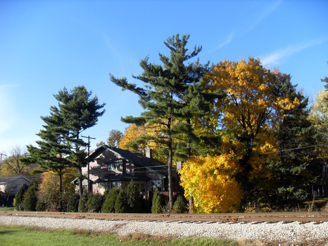 [TrainTracks[3].jpg]