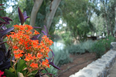 River Jordan