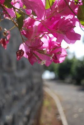 Capernaum